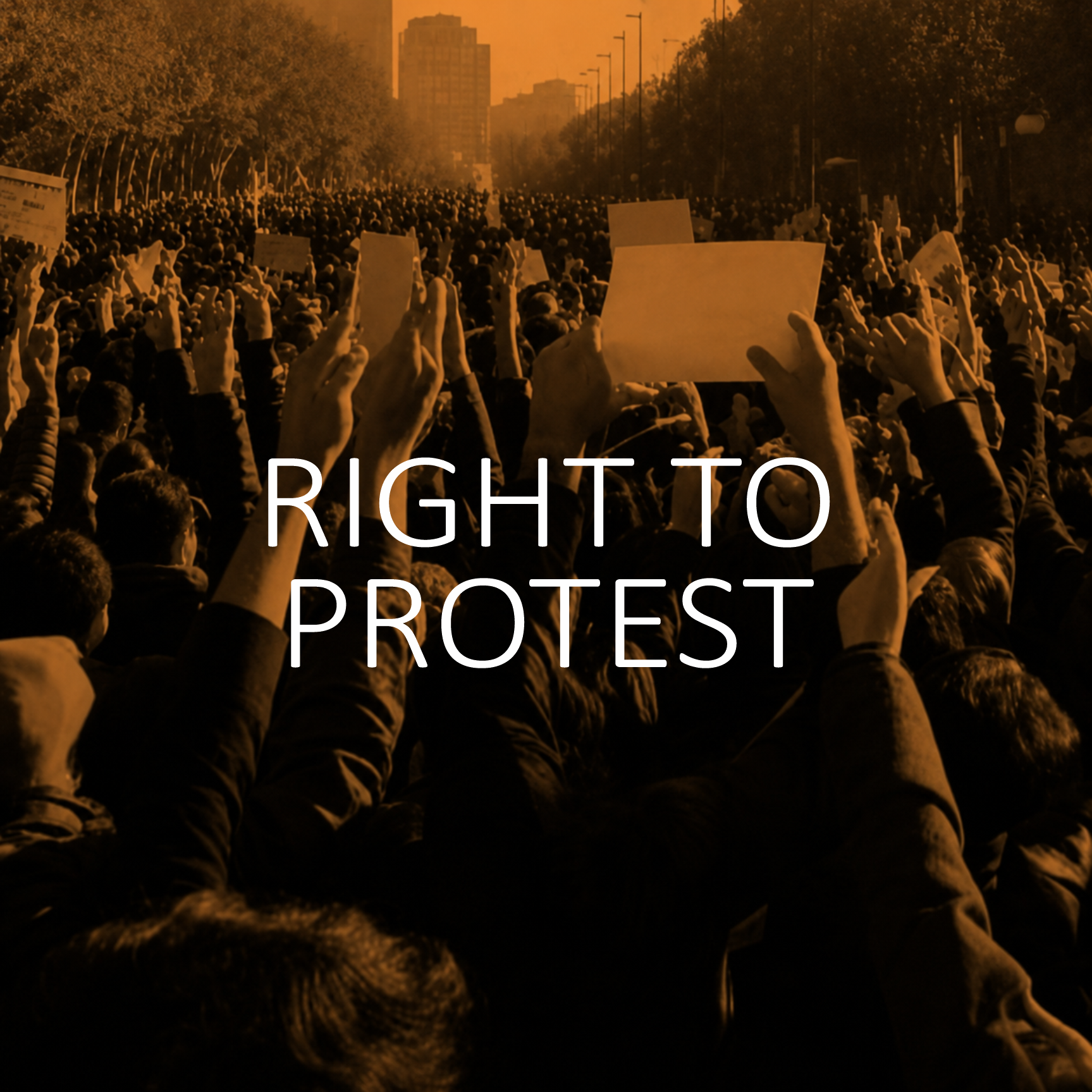 Right to Protest
